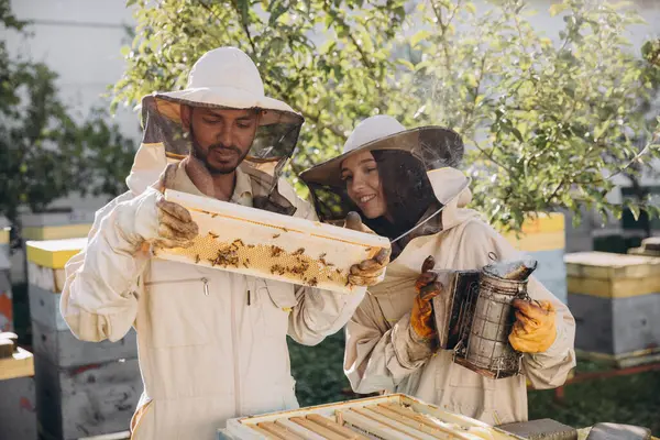 Szczęśliwa Kobieta Pszczelarz Gospodarstwa Palacz Przez Indyjski Mężczyzna Pszczelarz Badania — Zdjęcie stockowe