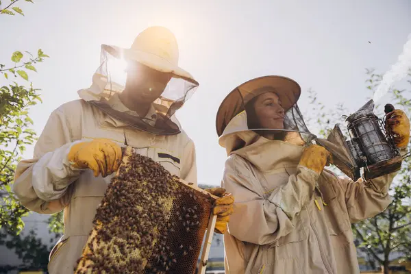 Imkerpaar Mann Und Frau Nimmt Rahmen Mit Bienen Aus Bienenstock — Stockfoto
