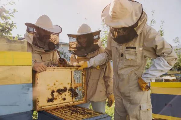 Międzyrasowy Zespół Pszczelarzy Zbierających Miód Koncepcja Pszczelarstwa Ekologicznego Królowej Pszczół — Zdjęcie stockowe