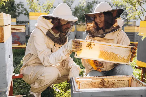 Ζευγάρι Χαρούμενα Χαμογελαστοί Μελισσοκόμοι Που Εργάζονται Μελισσοκομικά Εργαλεία Κοντά Κυψέλη — Φωτογραφία Αρχείου