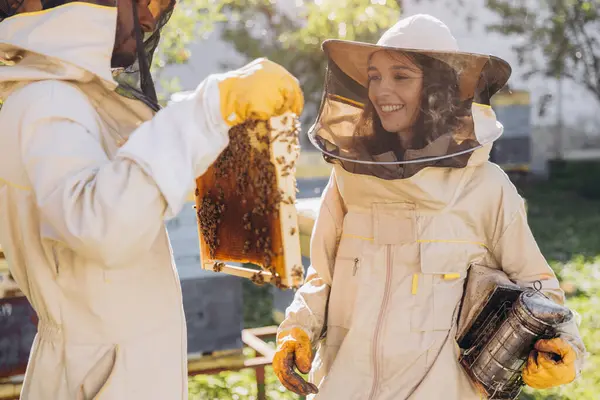 Mezinárodní Tým Šťastných Včelařů Muž Vytáhne Dřevěný Rám Úlu Žena — Stock fotografie
