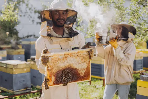 Szczęśliwy Indyjski Pszczelarz Mundurze Stojący Pasiece Trzymający Ramę Pszczoły Miodnej — Zdjęcie stockowe