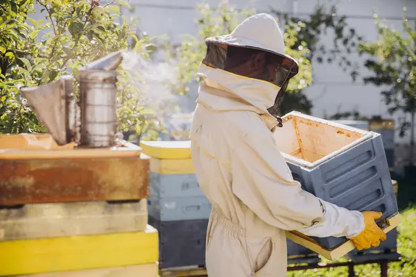 Beekeeper Moves Beehive Garden Bee Farm Beekeeping Concept — Stock Photo, Image