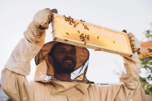 Happy Indian Beekeeper Uniform Standing Apiary Holding Honeybee Frame Bees — Stock Photo, Image