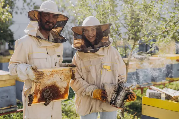 Ζευγάρι Χαρούμενα Χαμογελαστοί Μελισσοκόμοι Που Εργάζονται Μελισσοκομικά Εργαλεία Κοντά Κυψέλη — Φωτογραφία Αρχείου