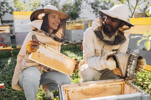 Couple of happy smiling beekeepers working with beekeeping tools near beehive at bee farm