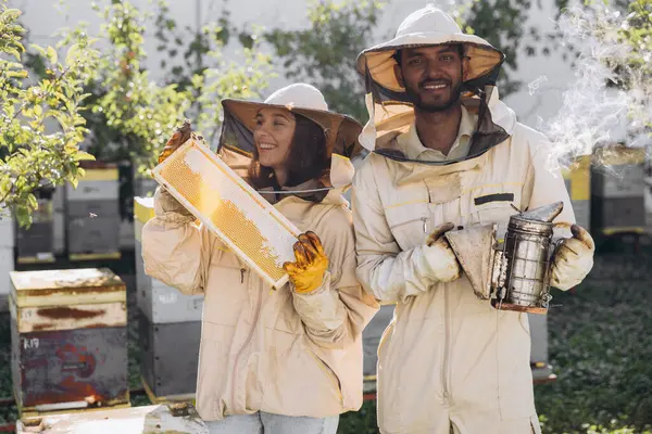 Couple of happy smiling beekeepers working with beekeeping tools near beehive at bee farm