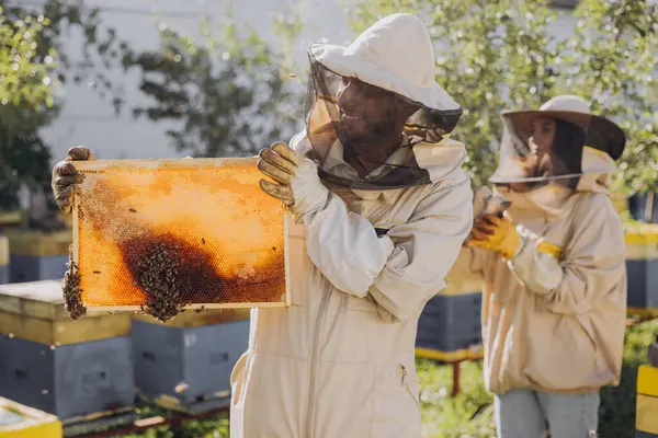 Szczęśliwy Indyjski Pszczelarz Mundurze Stojący Pasiece Trzymający Ramę Pszczoły Miodnej — Zdjęcie stockowe