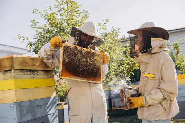 Международная Команда Счастливых Пчеловодов Мужчина Достает Деревянный Каркас Улья Женщина — стоковое фото