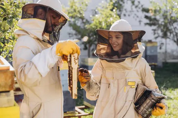 International team of happy beekeepers, man takes out a wooden frame from a beehive and a woman holds smoker