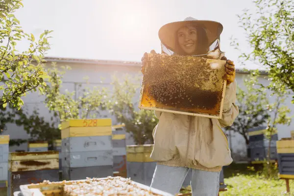 ハッピー笑顔の女性養蜂家 保護スーツで ハニービーフレームを保持する 養蜂場でミツバチ — ストック写真