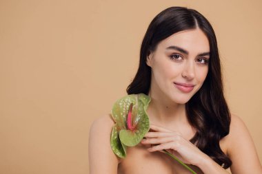 Bej renkli stüdyo arka planında izole edilmiş çiçekle poz veren çekici genç bir kadının güzel portresi.