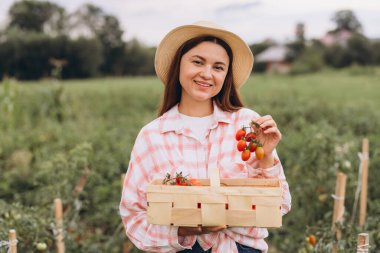 Mutlu bir kadın elinde bir sepet taze kiraz domatesiyle yemyeşil bir tarlada duruyor, neşe saçıyor ve kırsal bir cazibe yayıyor..