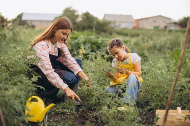 Güneşli bir günde, verimli bir sebze bahçesinde bahçıvanlık yaparken anne kız kaynaşıyor.