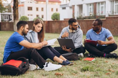 Bir üniversite kampüsünde birlikte okuyan çeşitli genç yetişkinler. Kitaplar ve dizüstü bilgisayarla işbirliği yapıyorlar. Eğitim ve takım çalışması temaları için mükemmel.