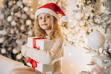 Noel Baba şapkası takan neşeli genç bir kız güzel paketlenmiş bir hediye tutuyor. Arka plan ışıl ışıl bir Noel ağacı ile süslenerek sıcak ve şenlikli bir tatil ortamı yaratılıyor..
