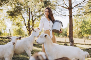 Süt kovası taşıyan genç bir kadın, güneşli, kırsal bir çayırda keçi sürüsü arasında duruyor, dinginliği ve doğayla bağlantıyı aktarıyor..