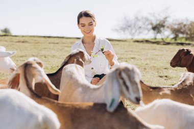 Gülümseyen genç bir kadın, güneşli bir kır çiftliğinde dost keçilerle etkileşime giriyor, doğada huzurlu bir doğa deneyimi yaşıyor..