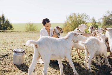 Genç bir kadın sakin bir öğleden sonrayı sakin bir çiftlikte neşeli keçilerle geçirir. Onlara sevgiyle bakarken güneş sıcacık parlıyor..