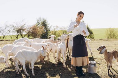 Neşeli bir kadın, güneşli bir kırsalda bir keçi sürüsünü günlük kıyafetleriyle besliyor. İlahi kırsal alan tarımsal yaşamı ve pastoral sükuneti vurguluyor.