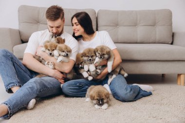 Güzel, gülümseyen mutlu çift köpek kulübesinde ya da barınakta Akia inu yavrularıyla oynuyor.