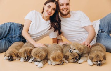 Aşık güzel bir çift ya da barınaktaki gönüllü köpekler bej arka planda Akita Inu yavrularıyla oynayıp ilgileniyorlar.