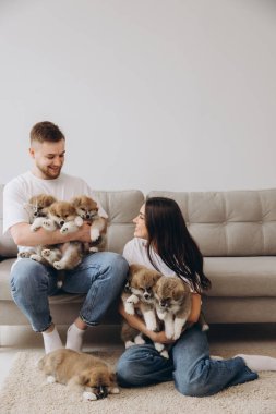 Güzel, gülümseyen mutlu çift köpek kulübesinde ya da barınakta Akia inu yavrularıyla oynuyor.