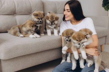 Mutlu gülümseyen milenyum kadınının portresi, yeni sahibi, kucaklayan grup Akita Inu yavruları evdeki kanepede.