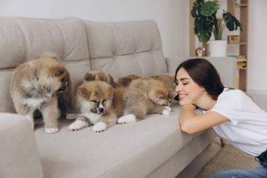 Mutlu gülümseyen bin yıllık kadın sahibi ya da gönüllü olarak evdeki kanepede ya da barınakta Akita Inu yavrularıyla oynuyor.