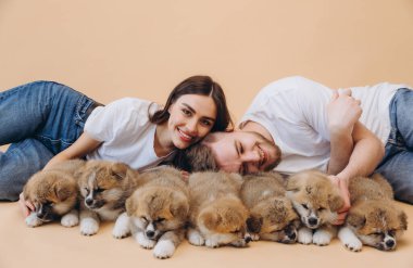 Aşık güzel bir çift ya da barınaktaki gönüllü köpekler bej arka planda Akita Inu yavrularıyla oynayıp ilgileniyorlar.