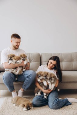 Güzel, gülümseyen mutlu çift köpek kulübesinde ya da barınakta Akia inu yavrularıyla oynuyor.