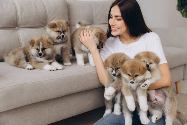 Mutlu gülümseyen milenyum kadınının portresi, yeni sahibi, kucaklayan grup Akita Inu yavruları evdeki kanepede.