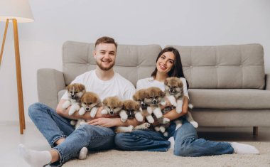 Güzel, gülümseyen mutlu çift köpek kulübesinde ya da barınakta Akia inu yavrularıyla oynuyor.