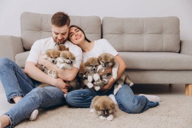 Güzel, gülümseyen mutlu çift köpek kulübesinde ya da barınakta Akia inu yavrularıyla oynuyor.