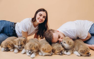 Aşık güzel bir çift ya da barınaktaki gönüllü köpekler bej arka planda Akita Inu yavrularıyla oynayıp ilgileniyorlar.