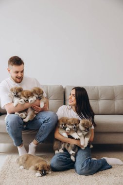 Güzel, gülümseyen mutlu çift köpek kulübesinde ya da barınakta Akia inu yavrularıyla oynuyor.