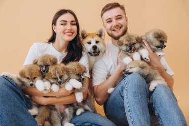 Mutlu güzel çift, küçük komik yavrularla ilgileniyor ve oynuyor ve anne köpekleri bej arka plan, bayrak, dünya hayvan günü konsepti: Yavru köpek yetiştirme ve satma Akita-Inu