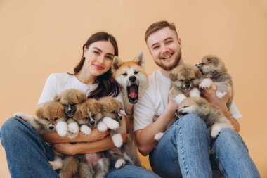 Mutlu güzel çift, küçük komik yavrularla ilgileniyor ve oynuyor ve anne köpekleri bej arka plan, bayrak, dünya hayvan günü konsepti: Yavru köpek yetiştirme ve satma Akita-Inu