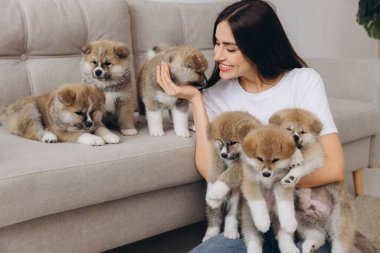 Mutlu gülümseyen milenyum kadınının portresi, yeni sahibi, kucaklayan grup Akita Inu yavruları evdeki kanepede.