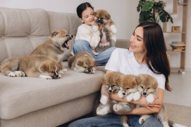 Gülümseyen kadın ve kızı evde ya da köpek barınağında Akita Inu yavrularıyla oynuyorlar.