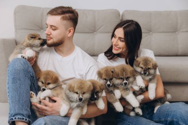 Güzel, gülümseyen mutlu çift köpek kulübesinde ya da barınakta Akia inu yavrularıyla oynuyor.