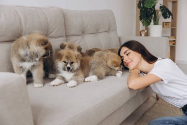 Mutlu gülümseyen bin yıllık kadın sahibi ya da gönüllü olarak evdeki kanepede ya da barınakta Akita Inu yavrularıyla oynuyor.