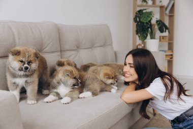 Mutlu gülümseyen bin yıllık kadın sahibi ya da gönüllü olarak evdeki kanepede ya da barınakta Akita Inu yavrularıyla oynuyor.