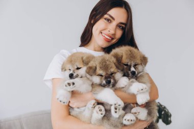 Mutlu gülümseyen milenyum kadın Akita Inu yavrularının sahibi evde köpeklerle oynuyor ve onları kucaklıyor, mesaj ya da kopya için yer açıyor.