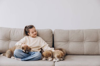 Küçük mutlu gülümseyen kız kanepede oynayıp Akita Inu yavrularına sarılıyor.