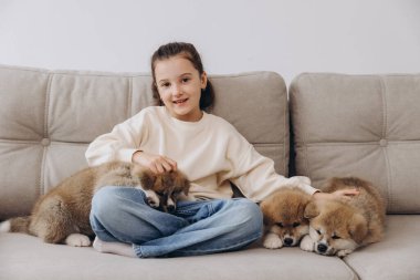 Little happy smiling girl playing and hugging Akita Inu puppies at home on sofa clipart