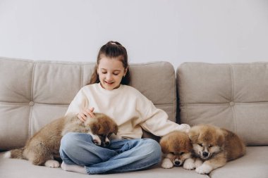 Little happy smiling girl playing and hugging Akita Inu puppies at home on sofa clipart