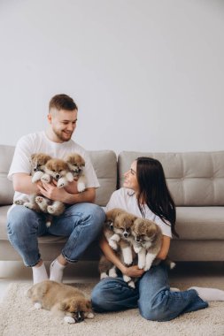 Güzel, gülümseyen mutlu çift köpek kulübesinde ya da barınakta Akia inu yavrularıyla oynuyor.