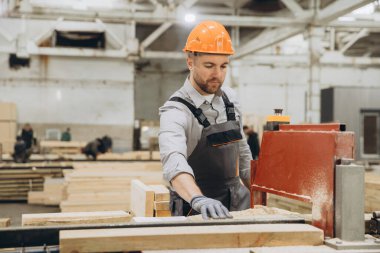 Marangoz koruyucu miğfer ve eldiven takıyor testere makinesini çalıştırıyor, kereste işleme fabrikasındaki ahşap kalasları kesiyor modüler inşaat endüstrisi için.