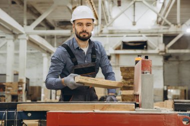Marangoz güvenlik kaskı takıyor ve modüler inşaat endüstrisi için bir fabrikada ahşap kalasla çalışıyor.